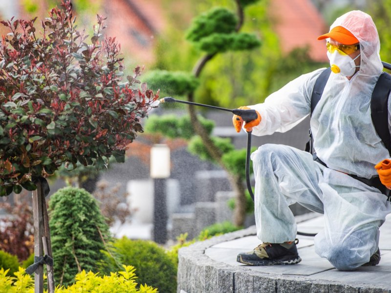 Şemikler Haşere İlaçlama